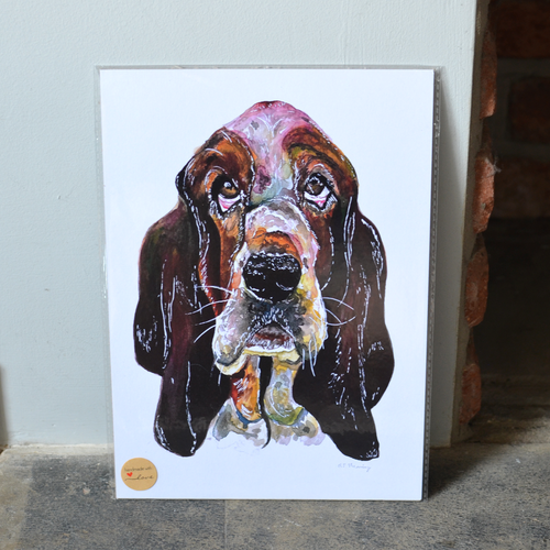 Bassett Hound A4 Print