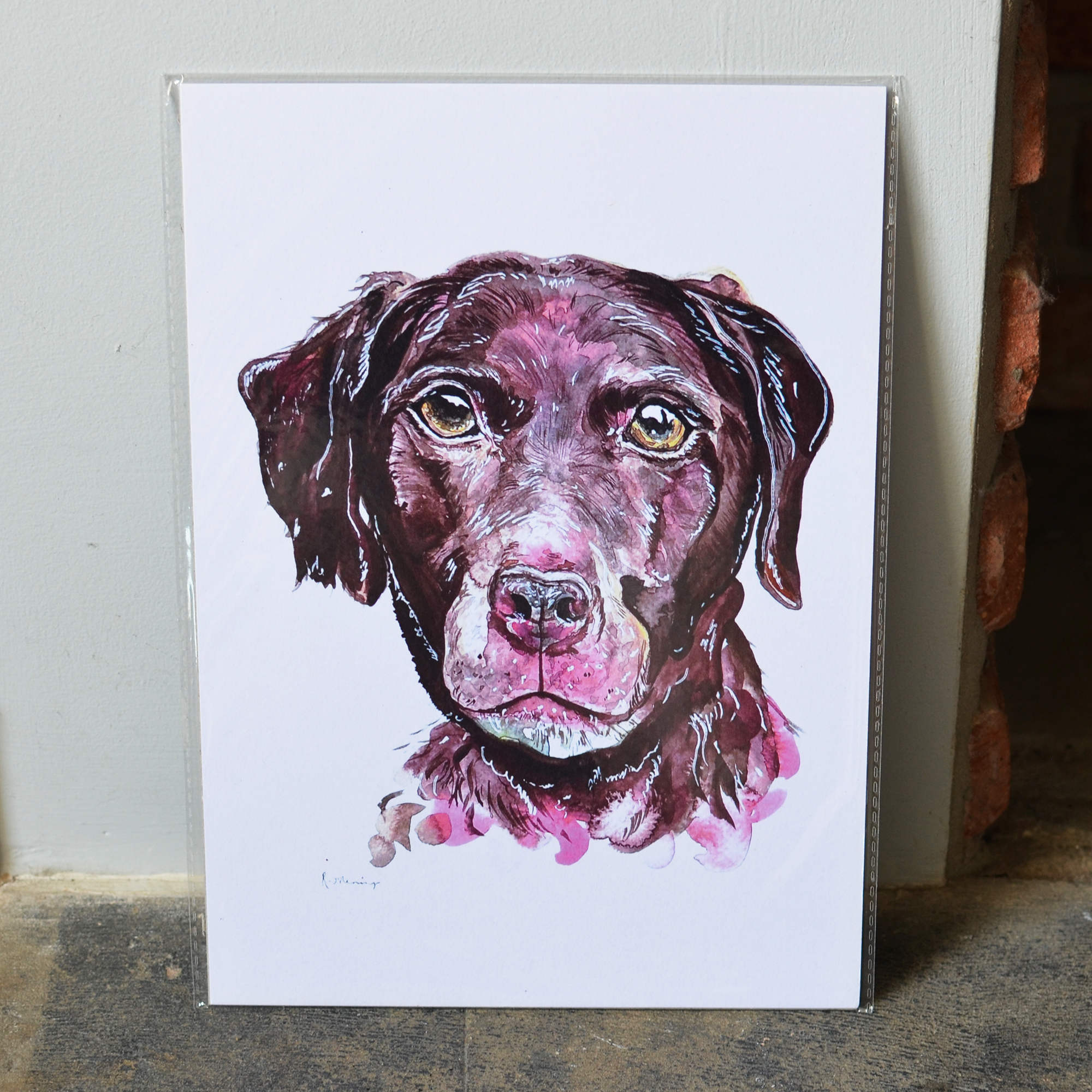 Chocolate Lab A4 Print