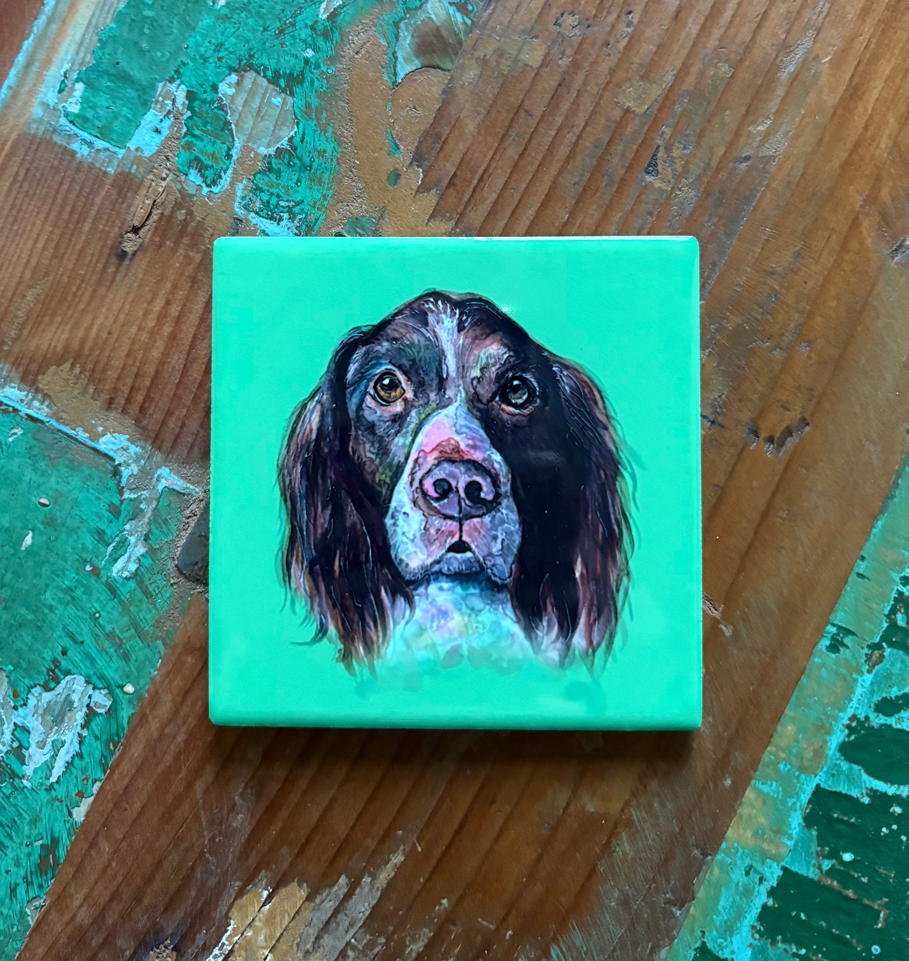 Springer Spaniel coaster - Apple green