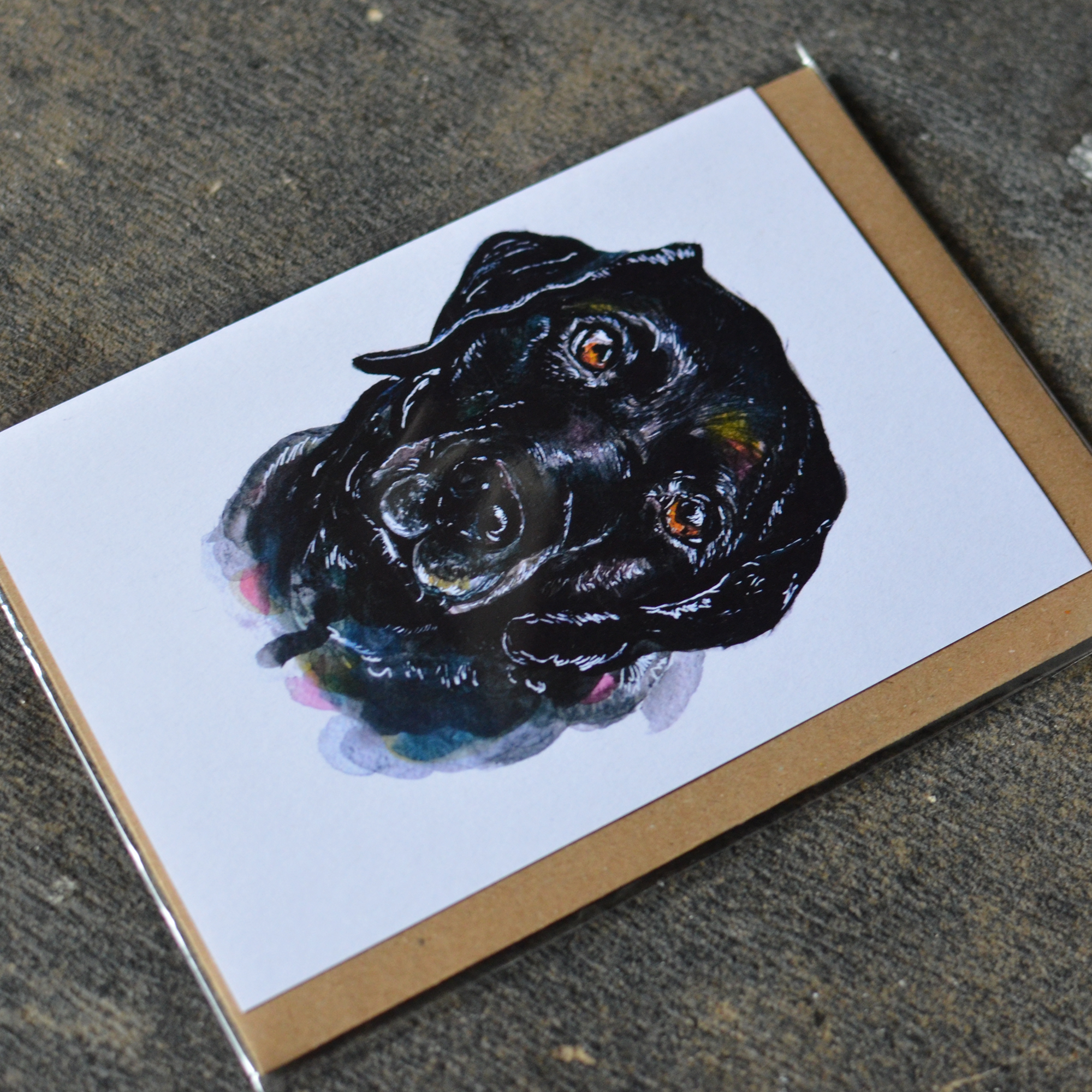 Black Labrador Greeting Card