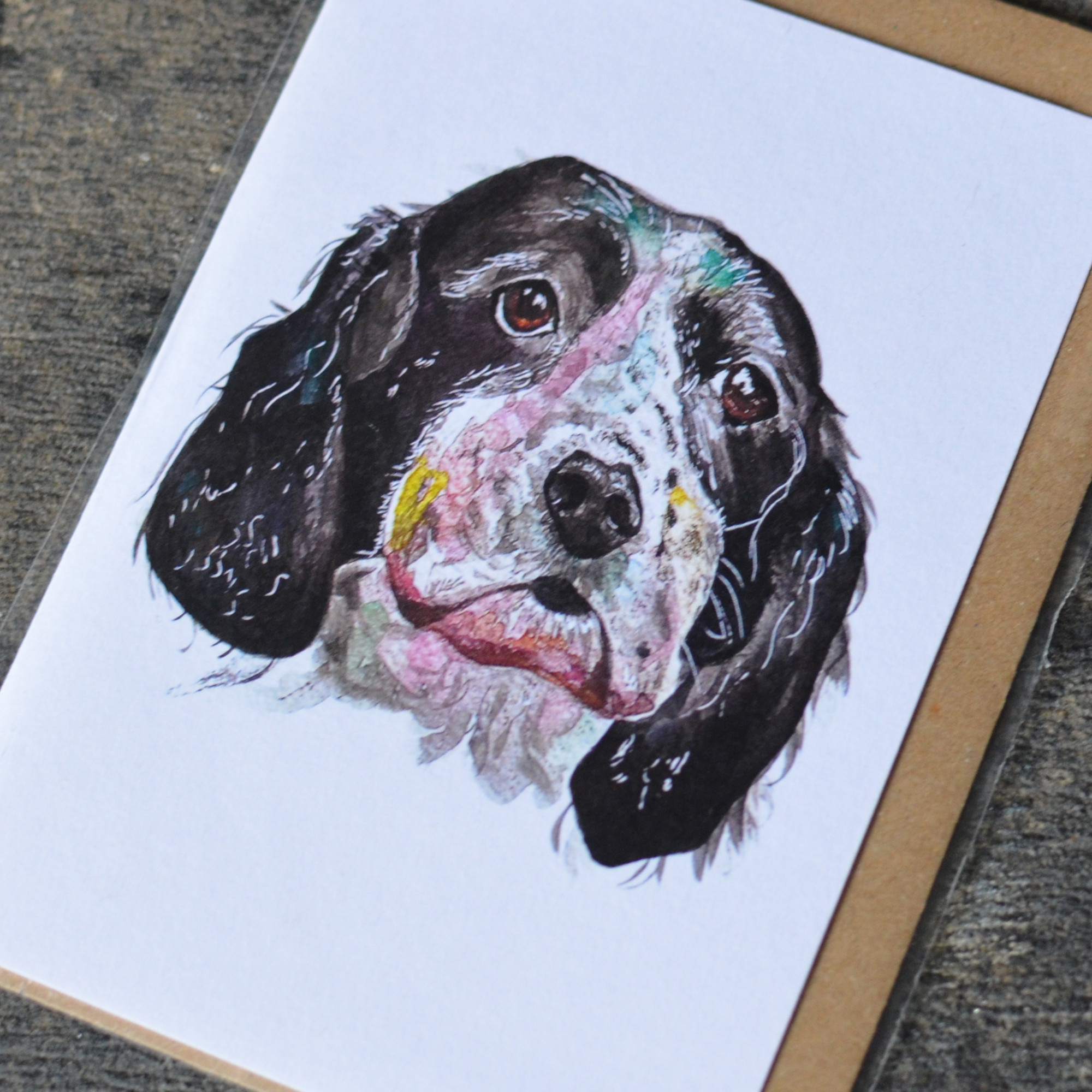 Black & White Cocker Spaniel
