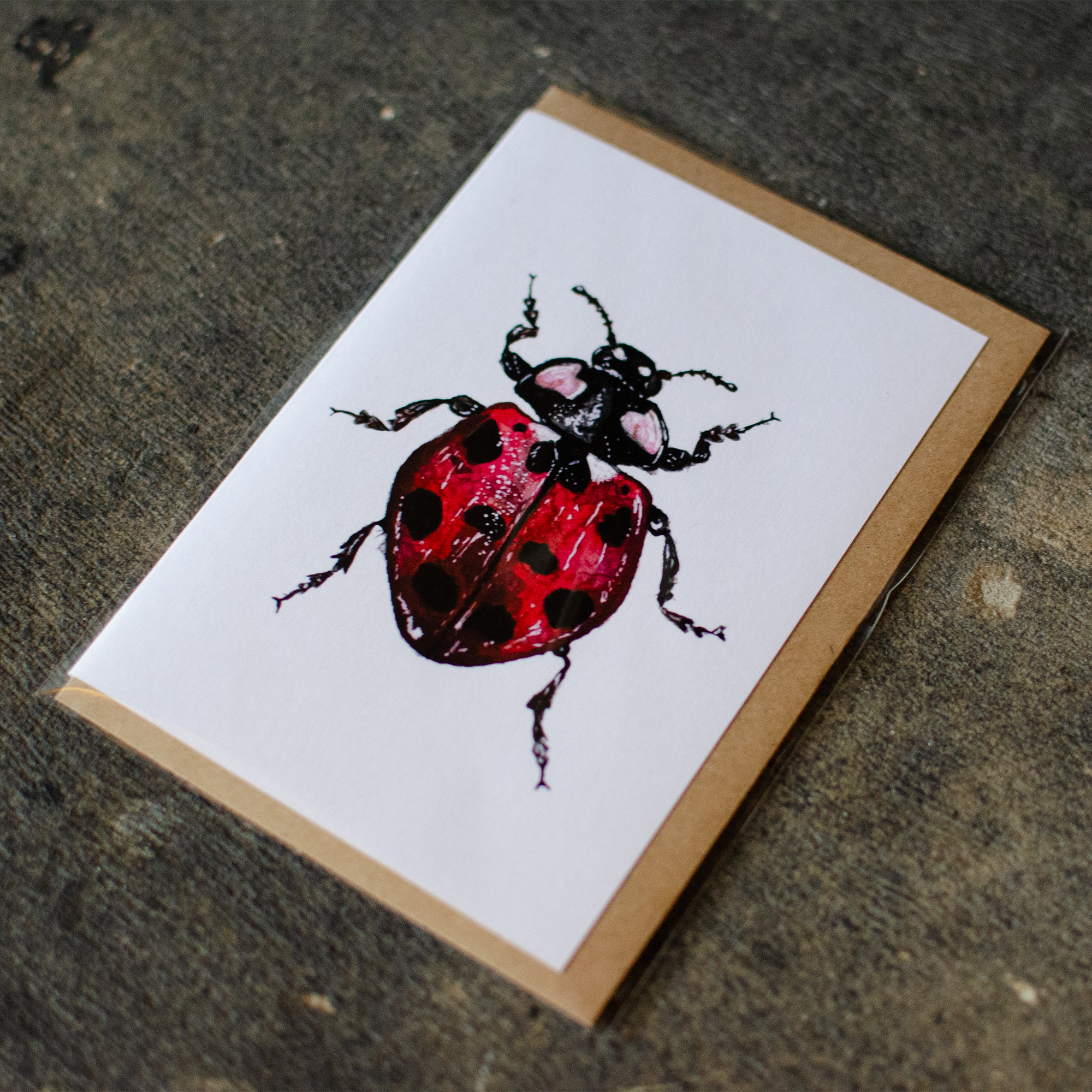 Lady Bug Greeting Card