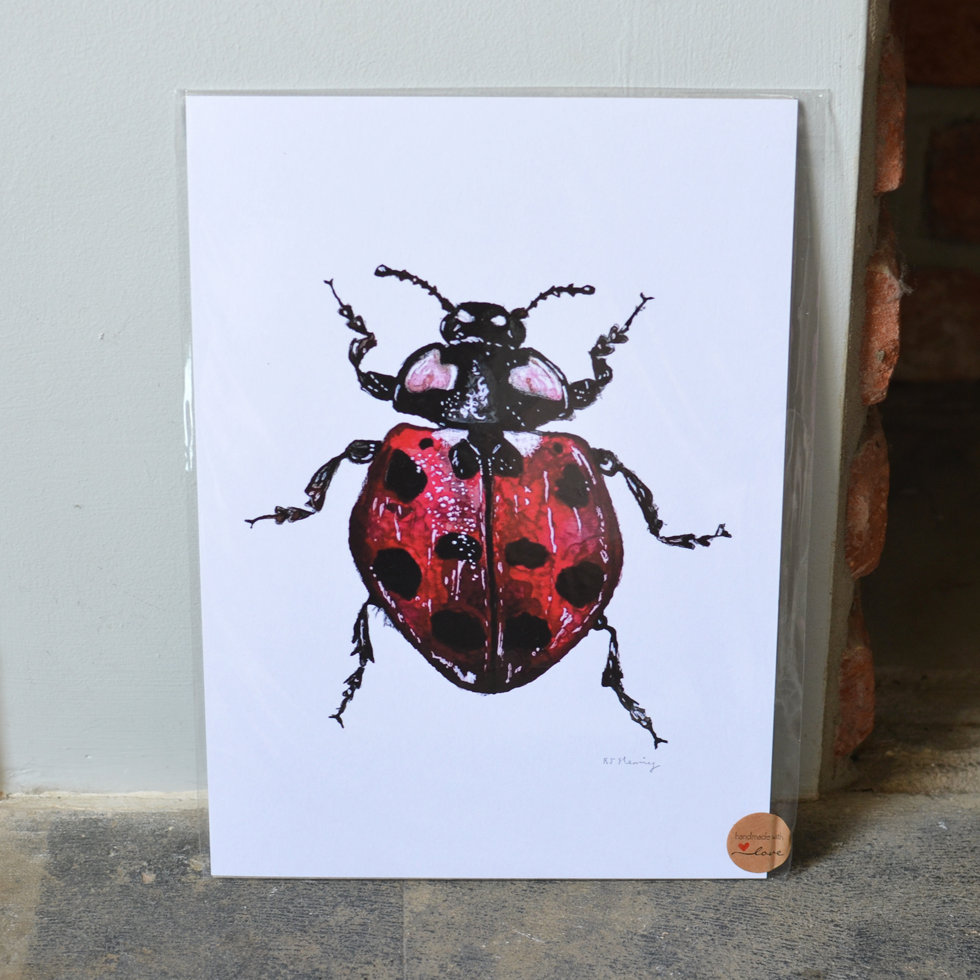 Ladybug A4 Print