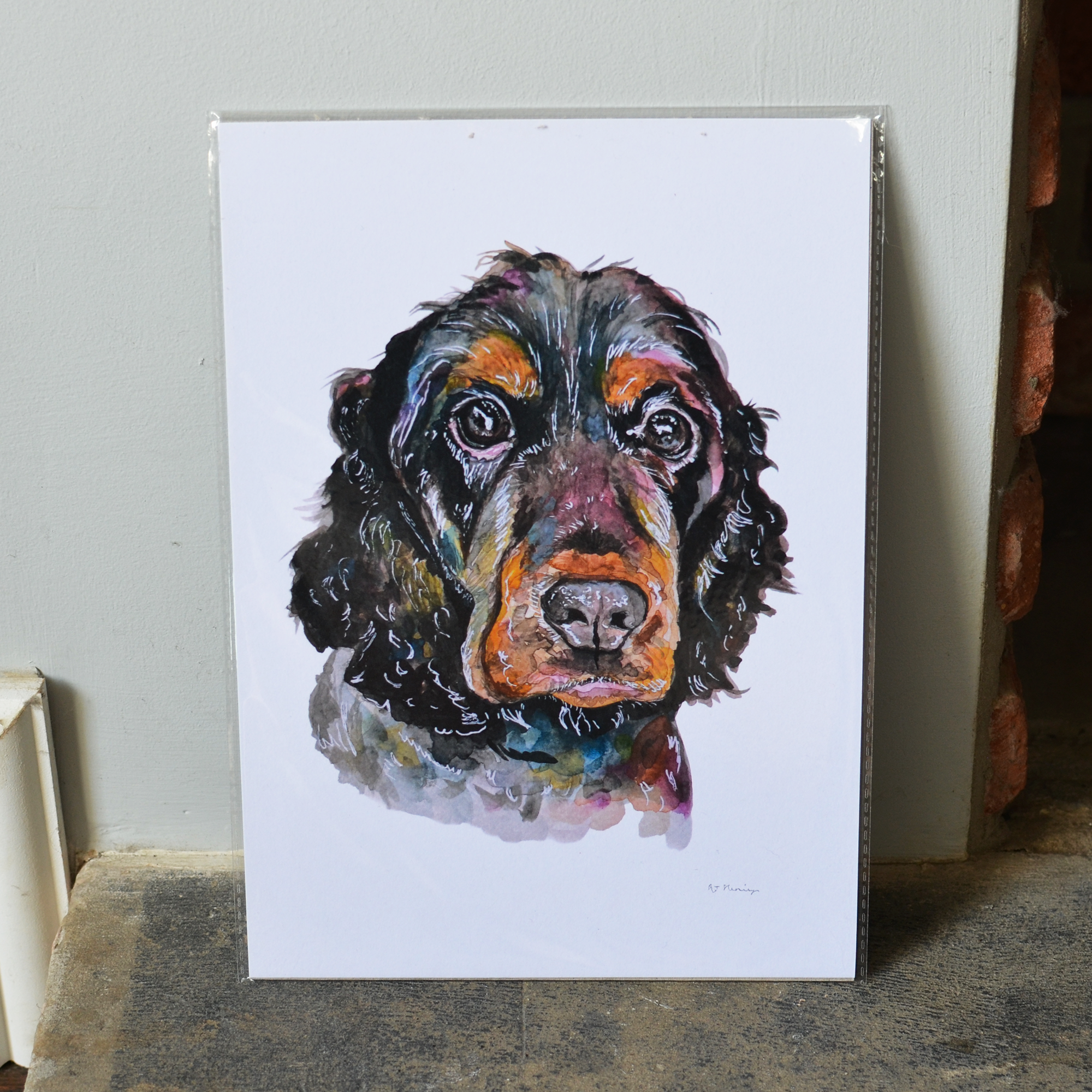 Show Cocker Spaniel A4 Print