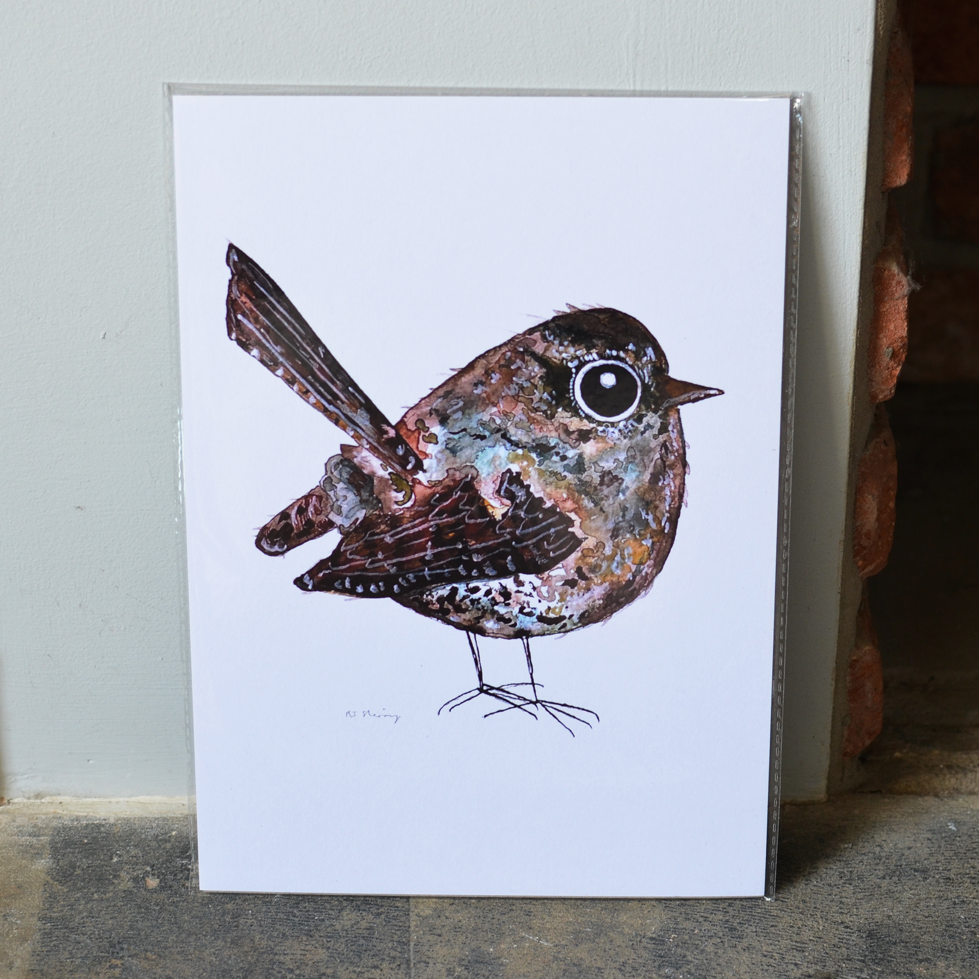 Wren A4 Print